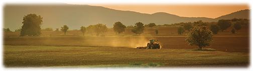 Sunset Farm